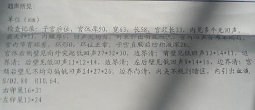 ӹ鱨